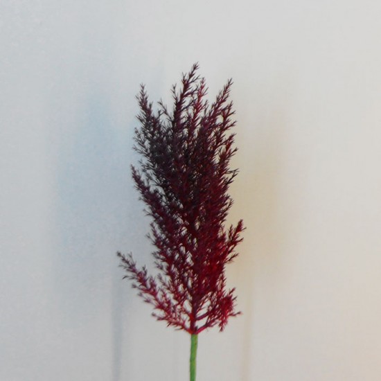 Artificial Pampas Grass Burgundy Red 65cm - PAM008 L4