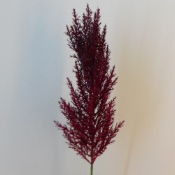 Artificial Pampas Grass Burgundy Red 70cm - PAM011 L4