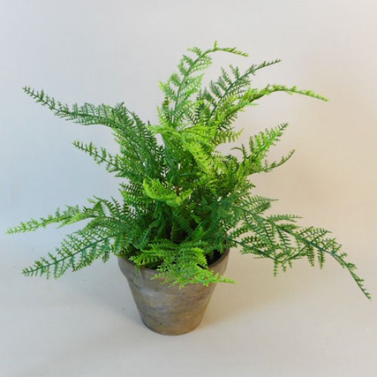 Potted Artificial Lace Fern - FER029 1C