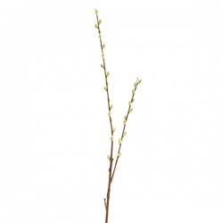 Pussy Willow Branch 100cm - PUS006 K3