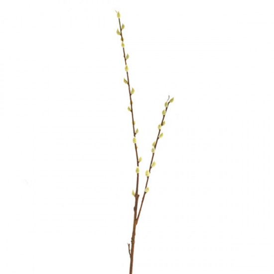 Pussy Willow Branch 100cm - PUS006 K2