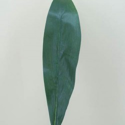 Silk Aspidistra Leaf Large - ASP010 A2