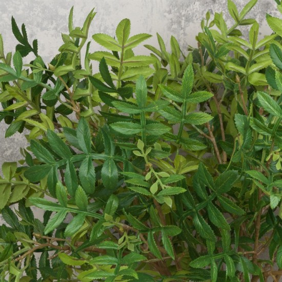 Artificial Sorbus Leaf Spray 60cm - SOR001 GS1A