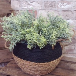 Flocked Artificial Thyme Plants 34cm - THY003 T4