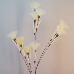 Tassel Flowers Vanilla Cream 82cm - T065 Q3
