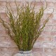 Artificial Branch Moss Covered Willow 90cm - MOS018 U2