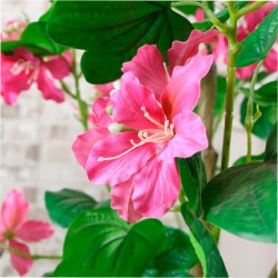 Artificial Bauhinia Tree Pink 120cm - BAU001