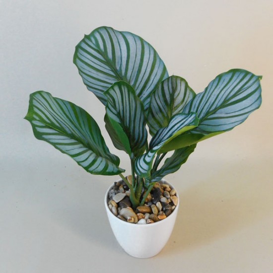 Artificial Plants Potted Calathea Orbifolia Prayer Plant - CAL001 GS1D