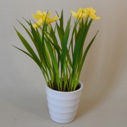 Artificial Daffodil Plants in White Pot 20cm - DAF004 iC