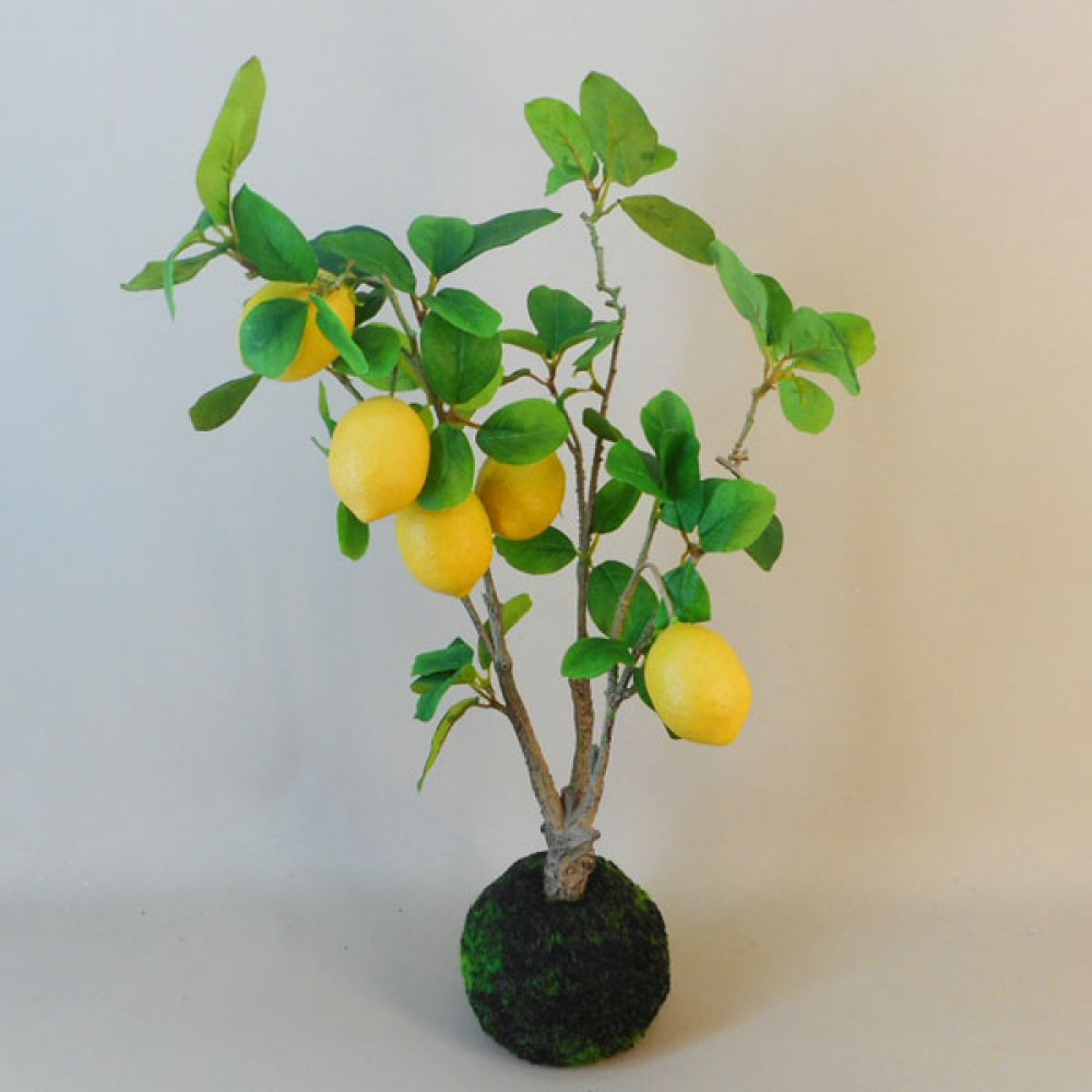 Fake Lemon Trees For Sale at Gregory Baumgartner blog