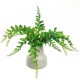 Artificial Fern in White Ceramic Pot - FER056 FR