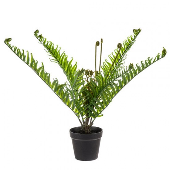 Artificial Plants Potted Fiddlehead Fern 53cm - FER018 4A