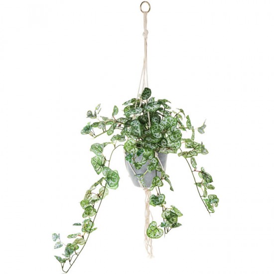 Potted Artificial String of Hearts Plant in Macrame Hanger - STR003 FR