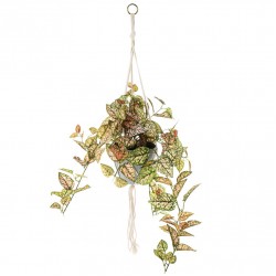 Potted Artificial Trailing Fittonia Plant in Macrame Hanger - FIT003 FR