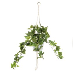 Potted Artificial Trailing Philodendron Plant in Macrame Hanger - PHI019 5D