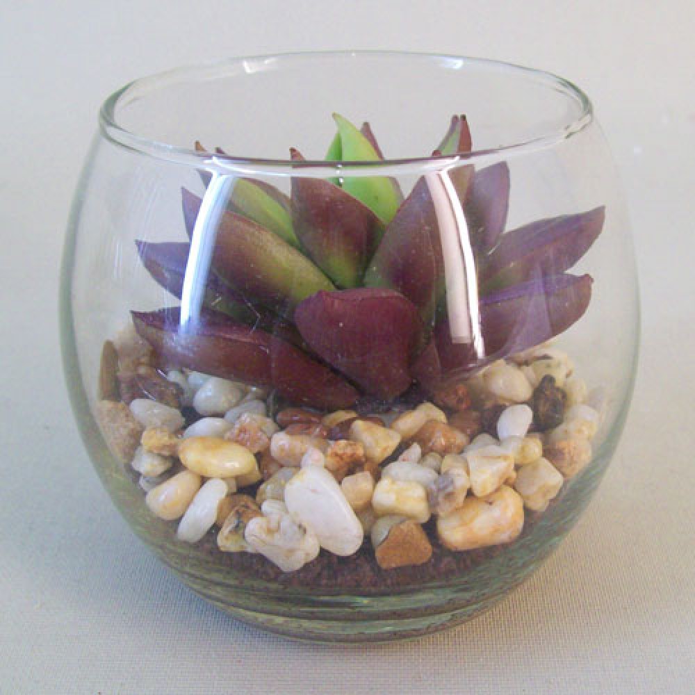 Artificial Succulents in Mini Fish Bowl - SUC009