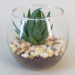 Artificial Succulents in Mini Fish Bowl - SUC008 3B