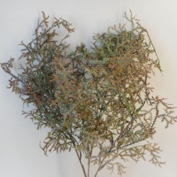 Artificial Tillandsia Plant Green Brown (Spanish Moss) - TIL003 P1