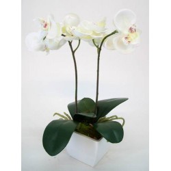 Mini Artificial Phalaenopsis Orchid Plant in White Pot Ivory - ORP009 6D