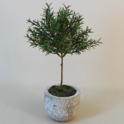 Artificial Plants Miniature Rosemary Topiary in Pot 27cm - ROS020 1B