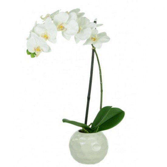 Real Touch Artificial Phalaenopsis Orchid Plant in White Dimpled Pot - ORC021 2C