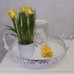 Artificial Daffodil Plants in White Pot 20cm - DAF004 