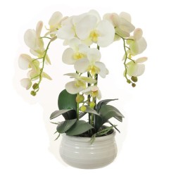 Artificial Phalaenopsis Orchid Plants White - ORC020