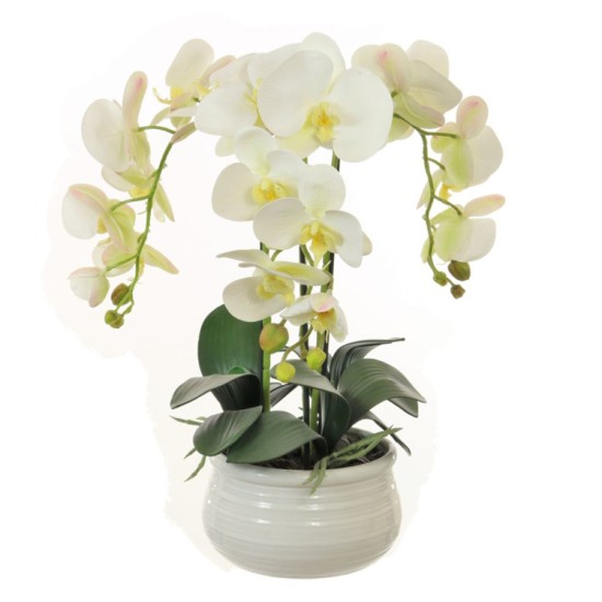 Artificial Phalaenopsis Orchid Plants White - ORC020 1B