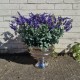 Knightsbridge Artificial Lavender Plants in Silver Urn Planter - LAV010 OFF