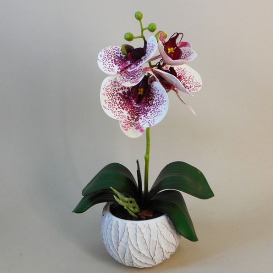 Mini Artificial Orchid Plant in Ceramic Pot White Burgundy 28cm - ORC001 7A