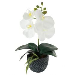 Mini Artificial Orchid Plant in Ceramic Pot White - ORC009 3E