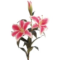 Real Touch Flowers