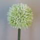 Artificial Hedgerow Allium Cream Green 54cm - A088 A2