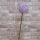 Large Artificial Allium Purple Sensation 77cm - A014 A1