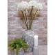 Giant Silk Allium Cream 83cm - A020 A1