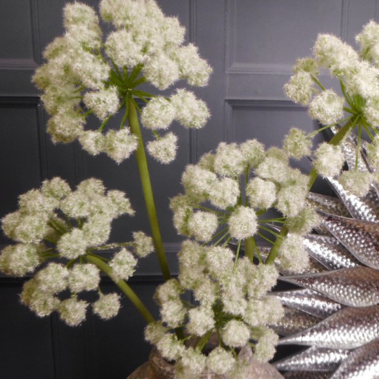 Large Artificial Starburst Allium Cream 85cm - A049 A1