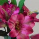 Artificial Alstroemeria Stem Magenta Pink 48cm  - A056 B4