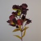 Artificial Chocolate Alstroemeria Stem 63cm  - A098 HH2