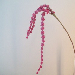 Artificial Amaranthus Raspberry 105cm - A121 A3
