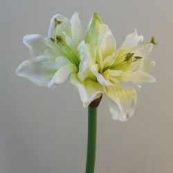 Artificial Amaryllis Flowers Cream 55cm - A061 A2