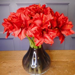 Artificial Amaryllis Red 40cm - A010 HH4