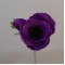 Silk Anemone Purple 38cm - A082 D3