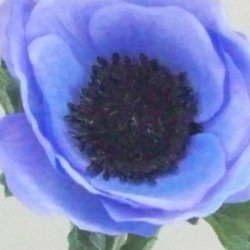 Silk Anemone Blue 38cm - A008A C4