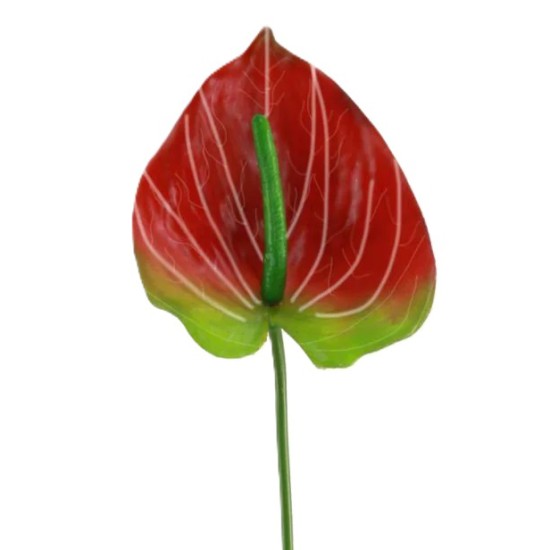 Real Touch Artificial Anthurium Red and Green 66cm - A028 HH4