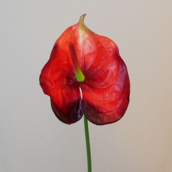 Real Touch Artificial Anthurium Red 66cm - A016a 