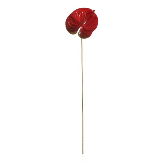 Real Touch Artificial Anthurium Red 59cm - A016a COMING SOON Real Touch Artificial Anthurium Red 59cm - A016a COMING SOON