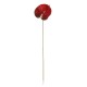 Real Touch Artificial Anthurium Red 59cm - A016a COMING SOON Real Touch Artificial Anthurium Red 59cm - A016a COMING SOON