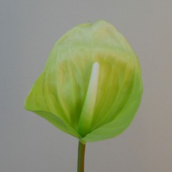 Real Touch Artificial Anthurium Lime Green 74cm - A131 GG4