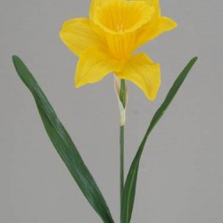 Large Yellow Silk Daffodil - D010 D2