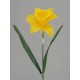 Large Yellow Silk Daffodil 65cm - D010 